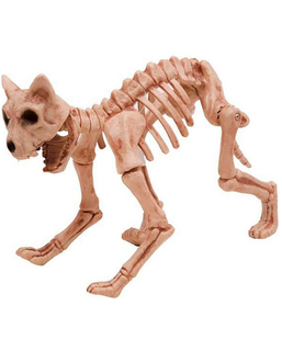 Halloweendekorationer My Other Me Skelett Katt (36 x 17 x 22 cm)