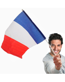 Fransk flagga med stång (46 x 30 cm)