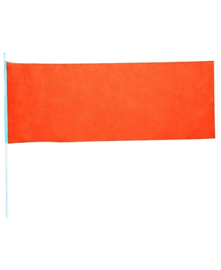 Flagga 146450 Polyester (80 x 30 cm)